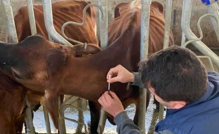 Alanya'da ilk testler yapıldı