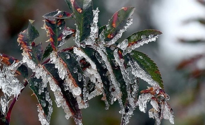 Meteoroloji'den Alanya'ya don uyarısı!