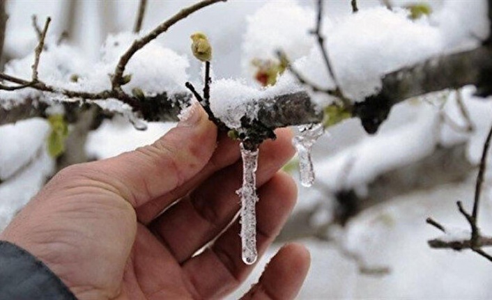 Meteoroloji’den zirai don uyarısı