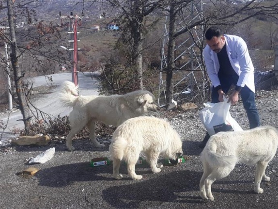 Alanya Belediyesi'nden can dostlara yardım eli