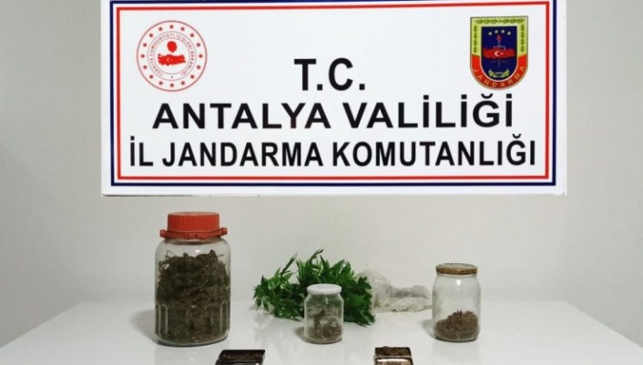 Alanya'da jandarmadan uyuşturucu operasyonu