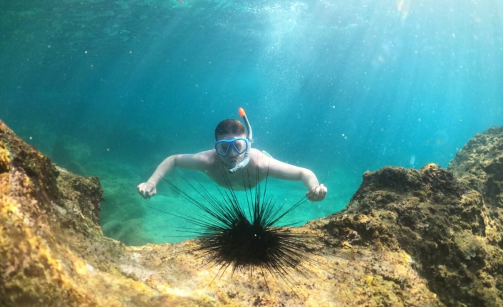 Alanya´da sualtı canlıları turistlerin ilgi odağı oldu