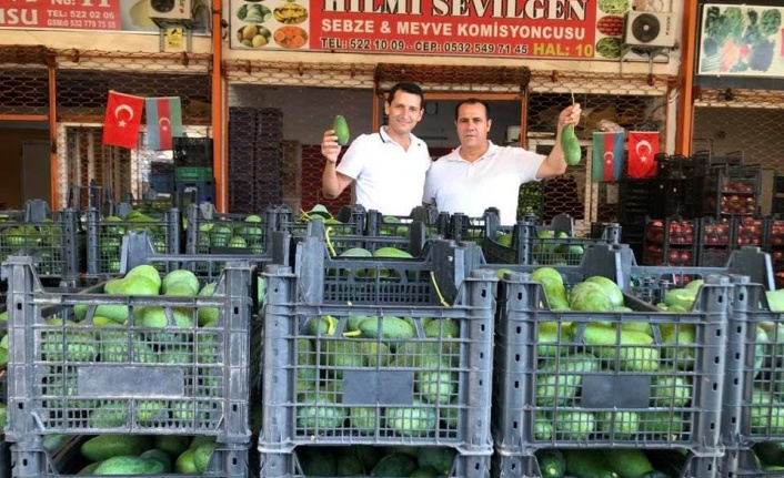 Avokado Üreticileri Birliği genel kurul düzenleyecek