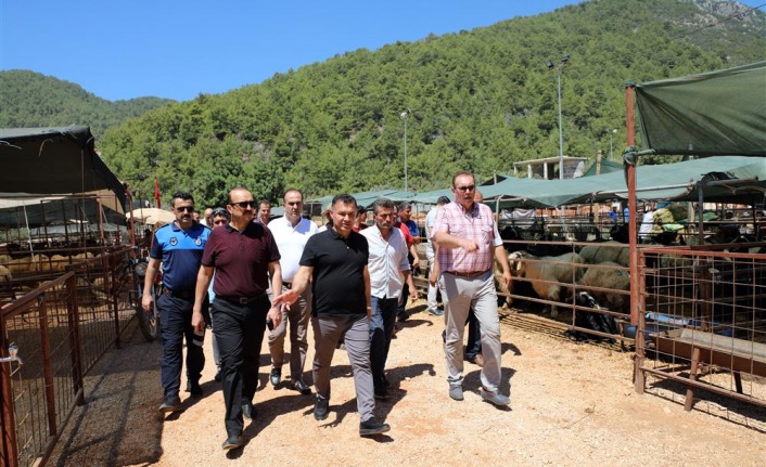 Alanya Belediyesi’nin Kurban Satış Yeri hizmete girdi