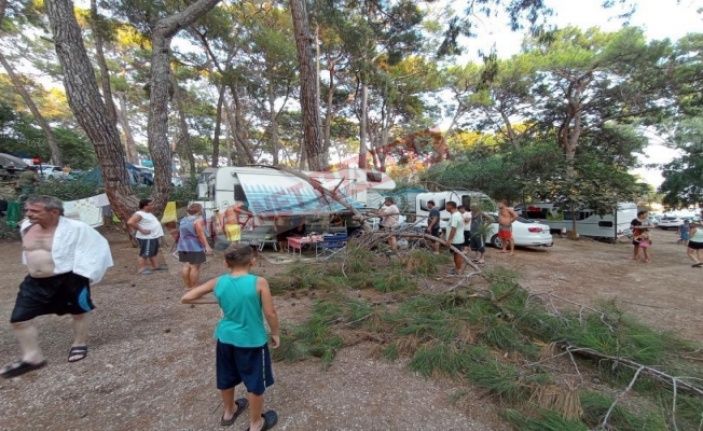 Alanya’da kırılan ağaç dalı karavananın üzerine düştü