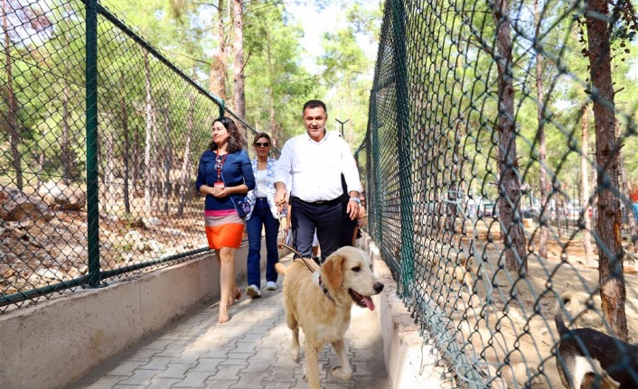 Alanya Belediyesi Köpek Bahçesi ve Doğal Yaşam Alanı açıldı
