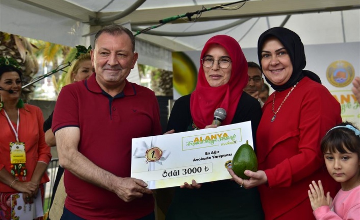 Alanya'da en ağır avokado yarışmayla seçildi
