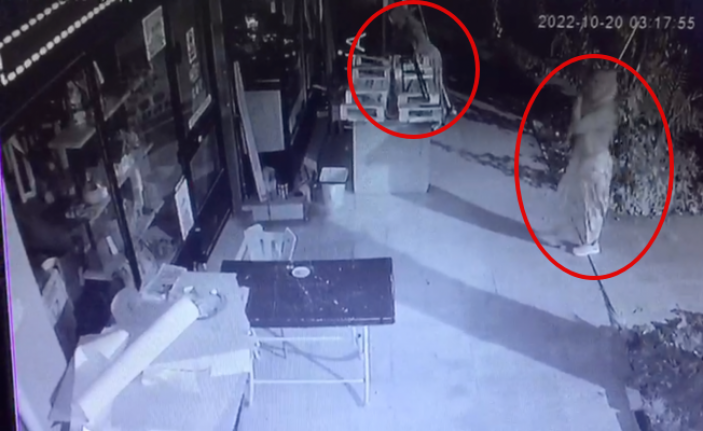 Alanya’da 2 kadının yaptığı hırsızlık kamerada