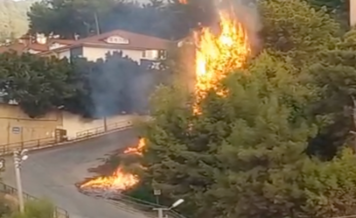 Alanya’da korkutan yangın