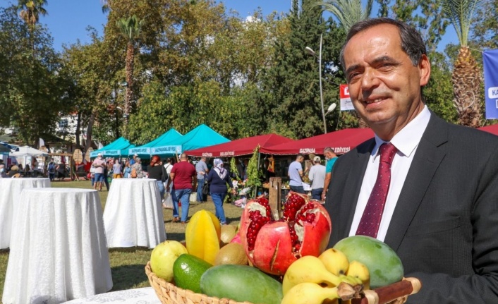 Gazipaşa festivale hazır