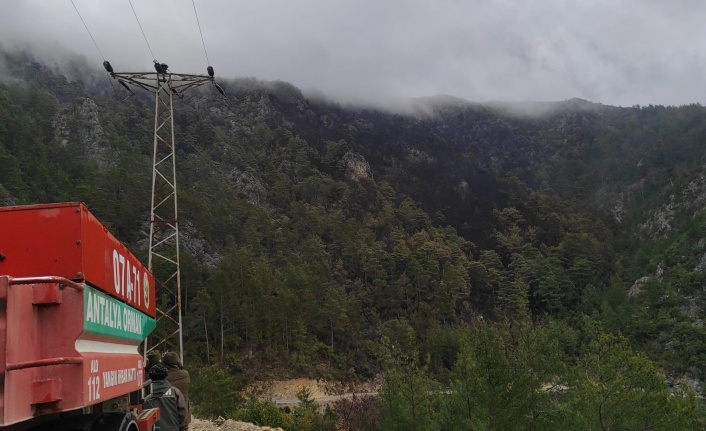 Alanya'daki orman yangını kontrol altına alındı