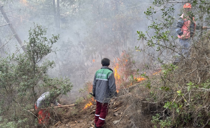 Alanya’da ormanlık alanda yangın çıktı