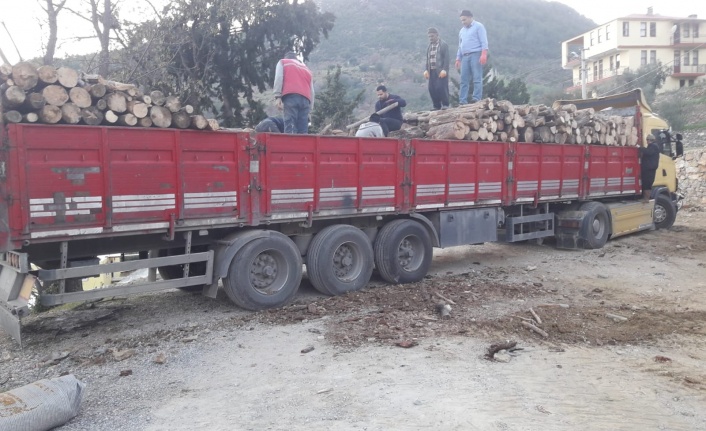 Alanya Orman İşletme Müdürlüğü afet bölgesine 19 kamyon odun gönderdi