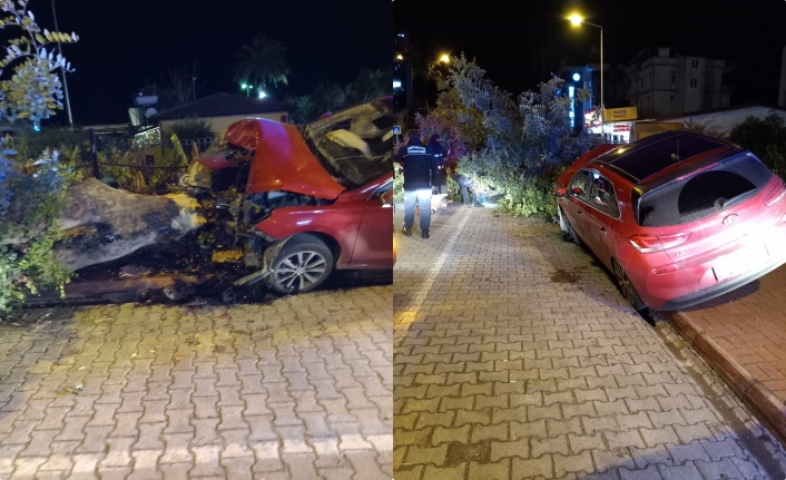 Alanya’da kaldırıma çıkan araç ağaca çarptı