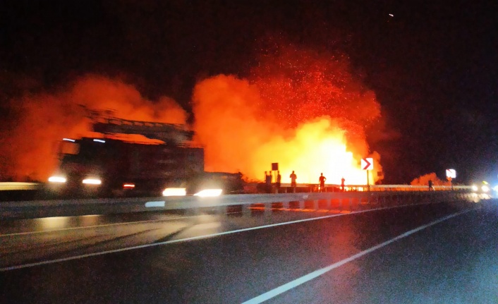 Alanya'da sazlık alanda çıkan yangın söndürüldü