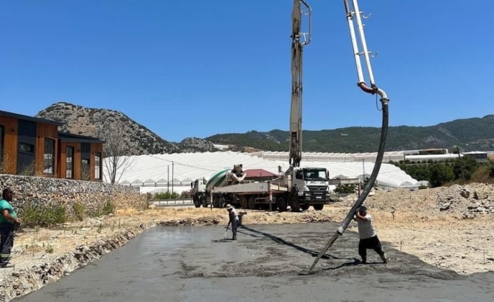 Alanya’ya Avokado Paketleme Tesisi geliyor