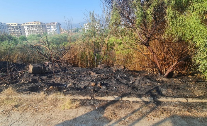 Alanya’da çalılık alanda çıkan yangın büyümeden söndürüldü