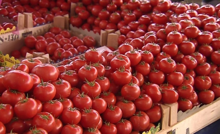 Alanya’da kış hazırlığı başladı