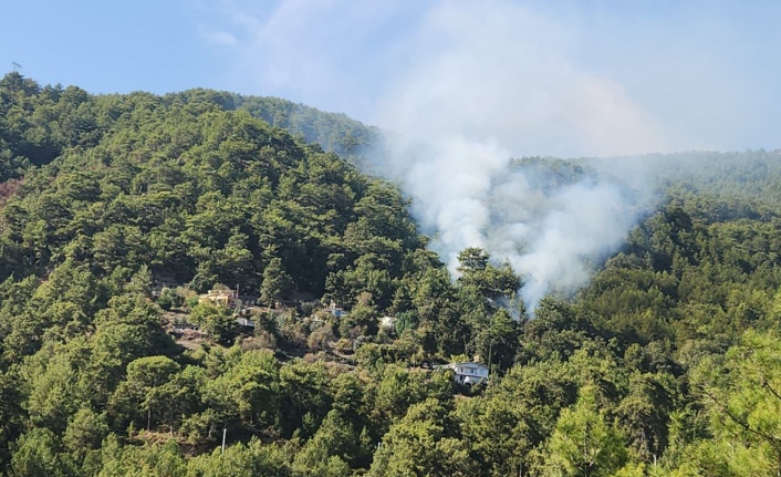 Alanya'da çıkan orman yangını kontrol altına alındı