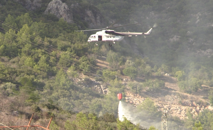 Alanya’da ağaçlık alanda yangın çıktı