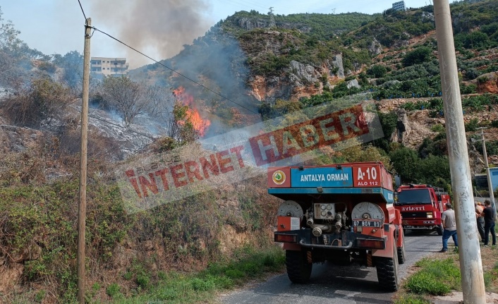 Alanya’da çalılık alanda yangın çıktı!