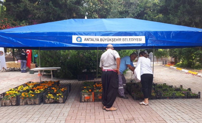 Alanya'da BŞB'den kabir ziyareti yapan vatandaşlara çiçek
