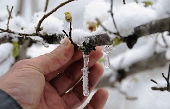 Meteoroloji’den zirai don uyarısı