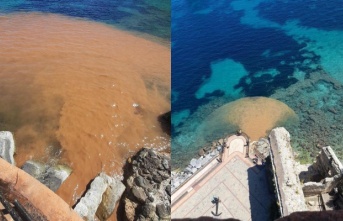 Alanya'da deniz kahverengiye büründü