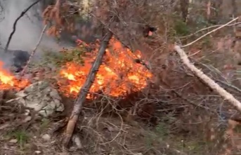 Alanya’da orman yangını! 5 dönümlük alan zarar gördü