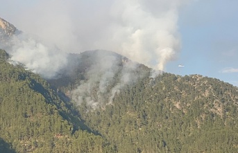 Alanya’daki orman yangını kısmen kontrol altına alındı