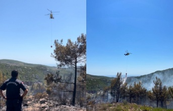 Alanya’da çıkan yangında 20 dönümlük alan zarar gördü