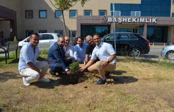 Alanya'da sağlığına kavuşan hastalar adına zeytin ağacı dikildi