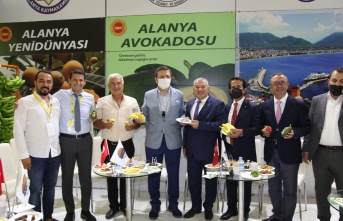 Başkan Şahin, Alanya Muzu'nun coğrafi işaretini Alanya'ya kazandırdı