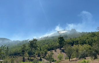 Alanya'da çıkan orman yangını kontrol altına alındı