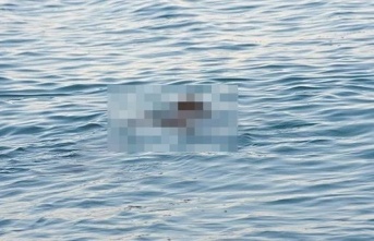 Alanya’da denizde erkek cesedi bulundu