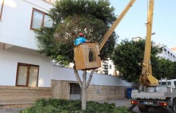 Alanya Belediyesi kışlık bakım çalışmalarında hız kesmiyor