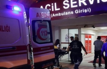 Alanya’da zeytin ağacından düşen adam yaralandı