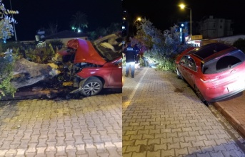 Alanya’da kaldırıma çıkan araç ağaca çarptı