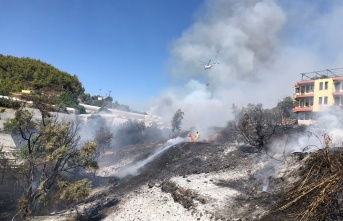 Alanya'da seralık alanda çıkan yangın kontrol altına alındı