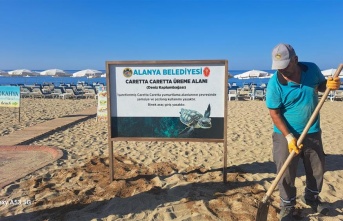 Alanya'da caretta carettaların yumurtlama alanları işaretlendi