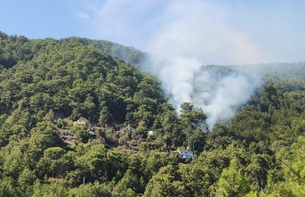 Alanya'da çıkan orman yangını kontrol altına alındı