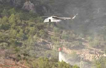 Alanya’da ağaçlık alanda yangın çıktı