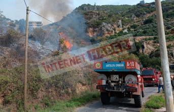 Alanya’da çalılık alanda yangın çıktı!