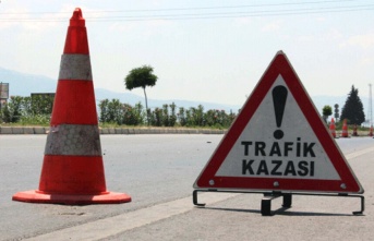 Alanyada motosikletiyle domuza çarpan sürücü yaralandı.
