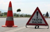 Alanya’da motosikletiyle domuza çarpan sürücü yaralandı.