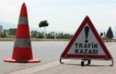 Alanya’da motosikletiyle domuza çarpan sürücü yaralandı.