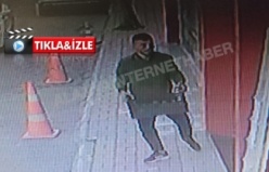 Alanya’da avokado hırsızlığı kamerada
