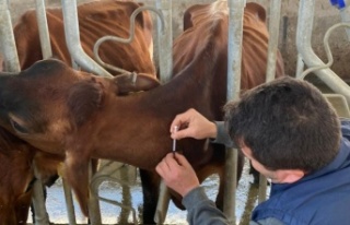 Alanya'da ilk testler yapıldı