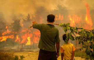 Yangınlarda zarar gören çiftçilere tarımsal zarar...