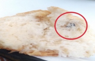 Alanya’da ekmekten ne olduğu bilinmeyen cisim çıktı